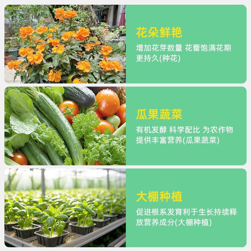 豆粕有机肥天然发酵腐熟园艺家庭菜园盆栽专用蔬菜植物通用颗粒肥,淘宝优惠券,粉丝福利购,淘宝优惠卷