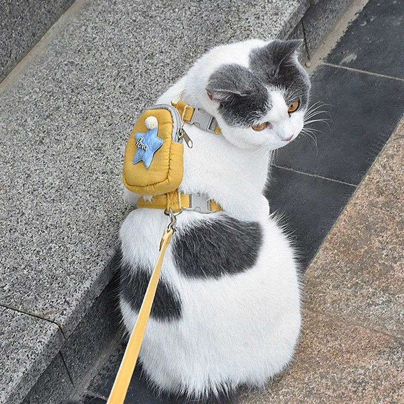 宠物猫绳子牵引绳带背包胸背式溜猫绳外出小书包幼猫布偶蓝猫用品,淘宝优惠券,粉丝福利购,淘宝优惠卷