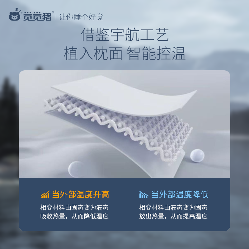 觉觉猪深睡枕PRO记忆枕护颈枕成人枕头慢回弹侧睡枕男女睡眠枕头,淘宝优惠券,粉丝福利购,淘宝优惠卷
