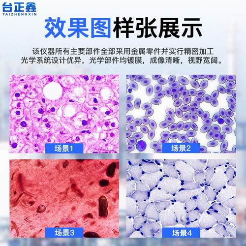 三目生物视频显微镜科研级教学微生物细菌细胞分析高清光学显微镜 - 图0