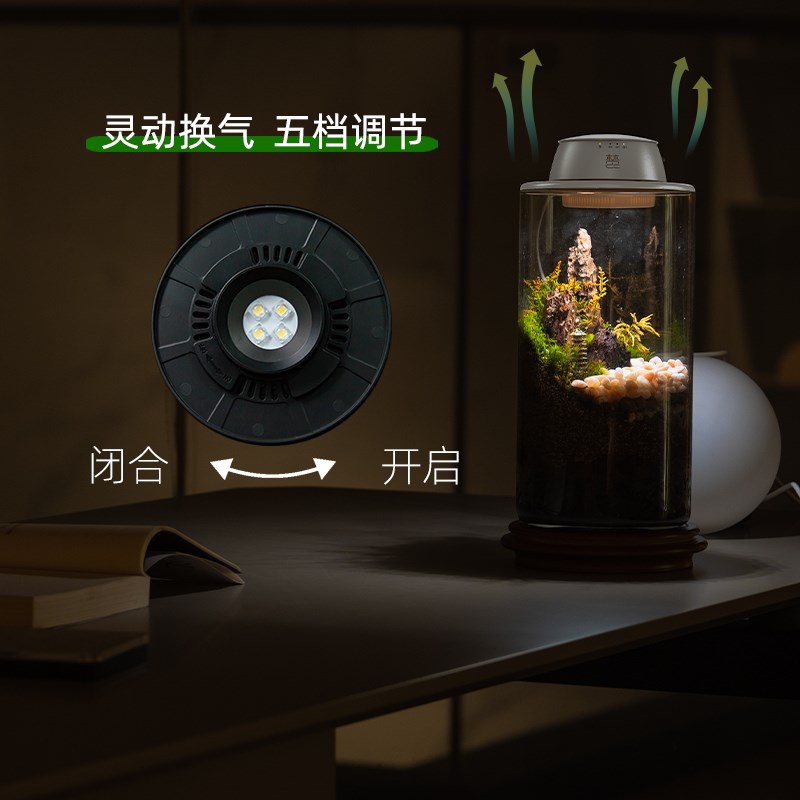 全光谱微景观植物补光灯仿太阳苔藓植物生长灯玻璃瓶生态瓶植物灯 - 图1