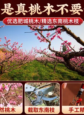 纯桃木挂件桃木剑小挂件桃木枝守护男女专用随身携带挂件钥匙扣