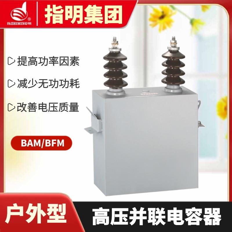 指明集团单相高压电力电容器BFM11√3-100-1W高压并联电容器12kv - 图0