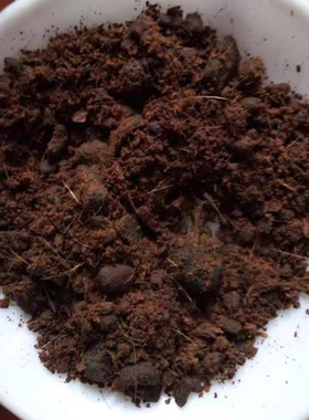 俄罗斯正品纯纯正中药材仁粉当门子射香药用