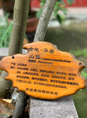 定制实木防水树牌 花园装饰木挂牌 幼I儿园树木认养牌插地木牌雕