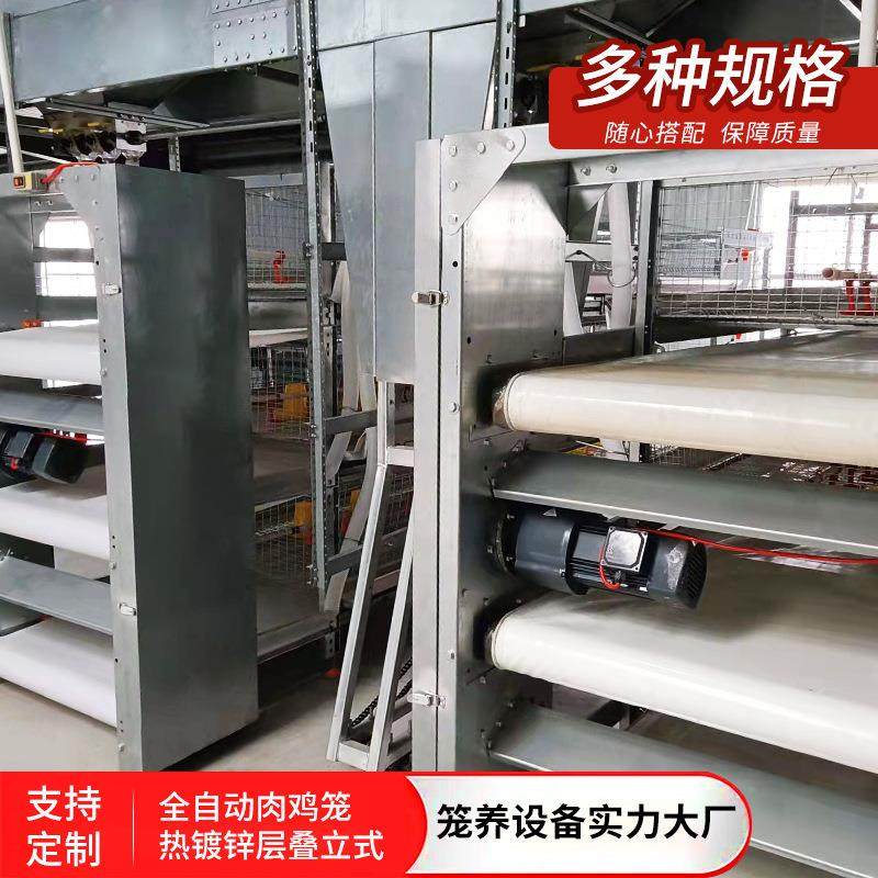 鸡笼三层传送带元宝肉鸡笼双体层叠式鸡舍机械养殖用框架全自动,淘宝优惠券,粉丝福利购,淘宝优惠卷