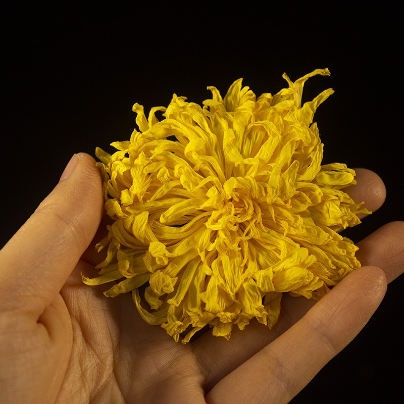精选大朵金丝皇菊花茶20朵50朵100朵黄山花茶大朵饱满菊花茶 - 图1