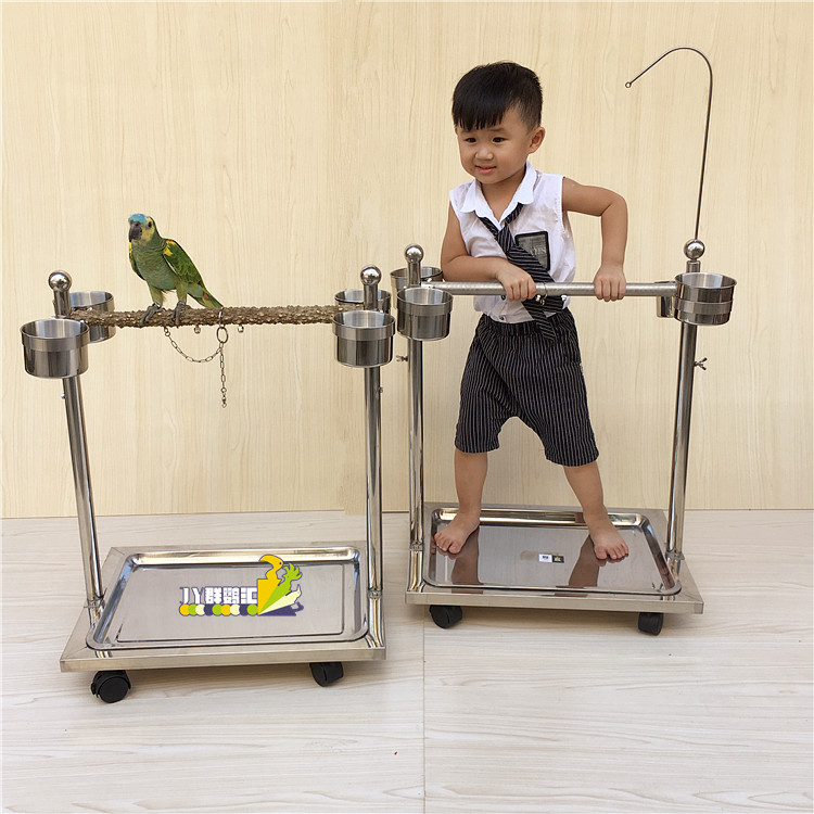 灰鹦鹉 葵花鹦鹉升降架 不锈钢站架 中大型鹦鹉鸟架 脚链 磨爪杆 - 图0
