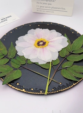 淡紫渐变油画牡丹干花压花婚礼请柬手账手工DIY装饰花相框材料