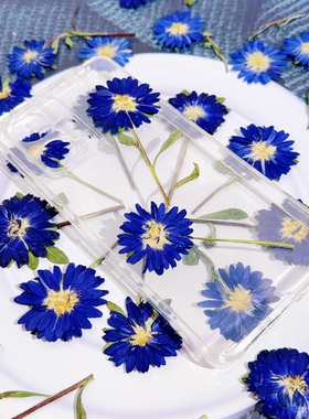 重瓣迷你菊侧压带枝干花材