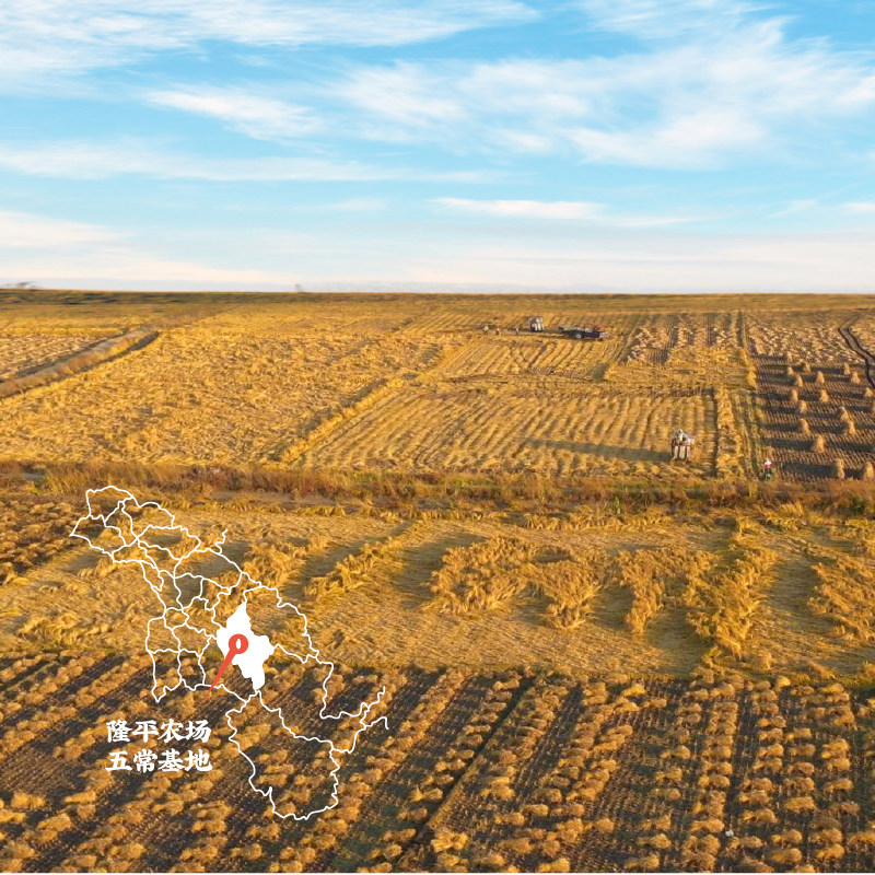 袁谷五常大米有机鲜稻米8斤稻花香2号东北大米(500g*8包)当季新米,淘宝优惠券,粉丝福利购,淘宝优惠卷