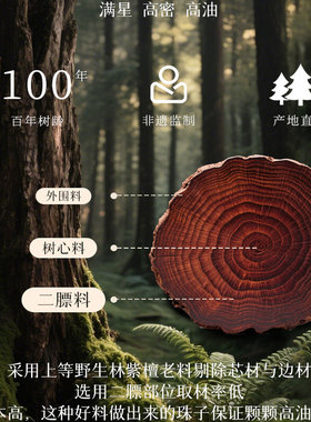普陀山印度小叶紫檀手串男女款