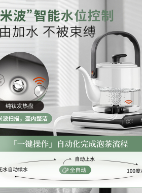 潮永诚毫米波烧水壶纯钛提梁壶