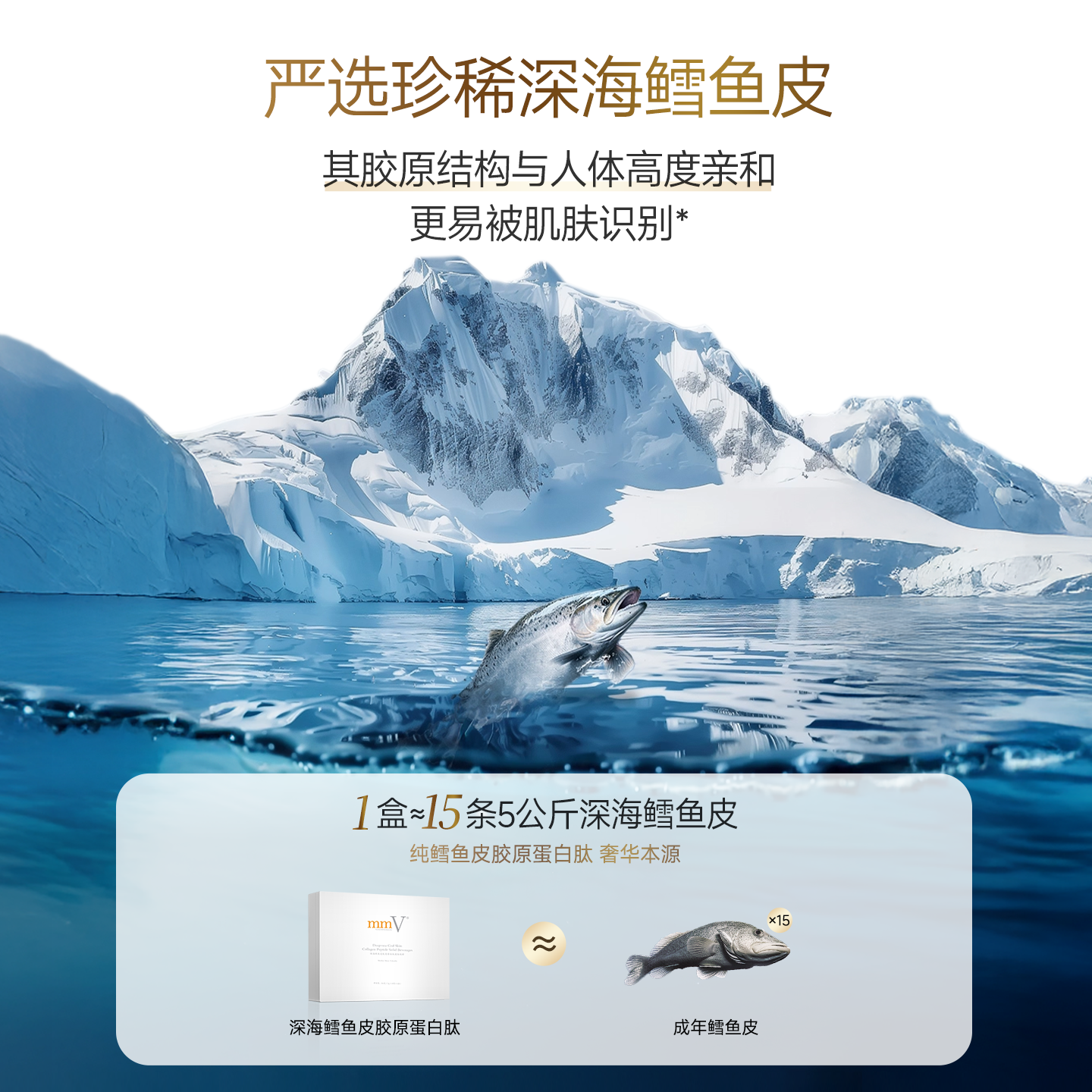 澳洲mmV 深海鳕鱼皮胶原蛋白肽粉末装 补充小分子活性肽半年套餐