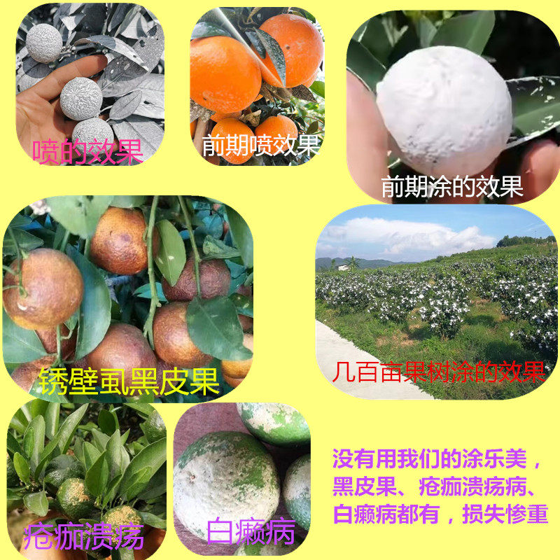 沃柑防晒剂 茂谷柑防太阳遮阳伞离子果膜 防晒涂白剂 懒人防溃疡,淘宝优惠券,粉丝福利购,淘宝优惠卷