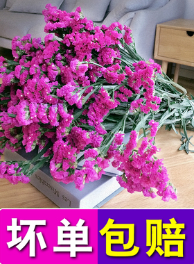 云南天然风勿忘我干花花束真花装饰摆件客厅小大插花论斤卖满天星