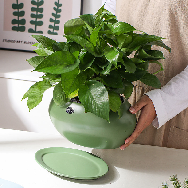 陶瓷花盆北欧简约创意椭圆形花卉带托盘家用客厅绿植绿萝兰花盆景,淘宝优惠券,粉丝福利购,淘宝优惠卷