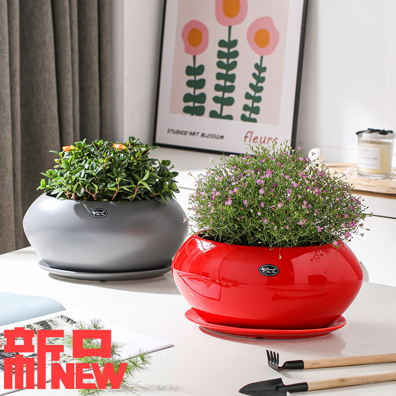 陶瓷花盆北欧简约创意椭圆形花卉带托盘家用客厅绿植绿萝兰花盆景,淘宝优惠券,粉丝福利购,淘宝优惠卷
