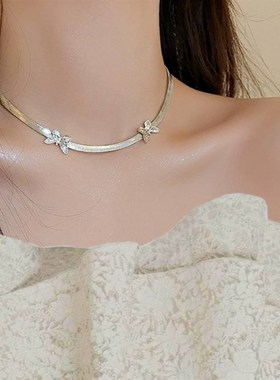 设计感双层轻奢项链女冷淡风小众设计感百搭简约锁骨链韩国颈链