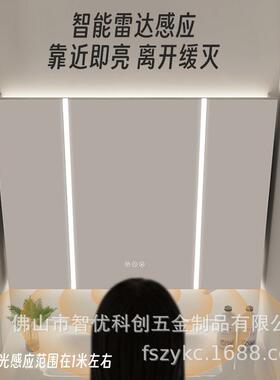 不锈钢镜柜通顶平行灯光镜柜单独沥水挂墙式智能镜柜感应灯镜收纳