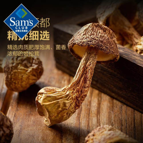 山姆MM百山祖云南姬松茸干货云南高山种植正品会员代购官方旗舰店 - 图2