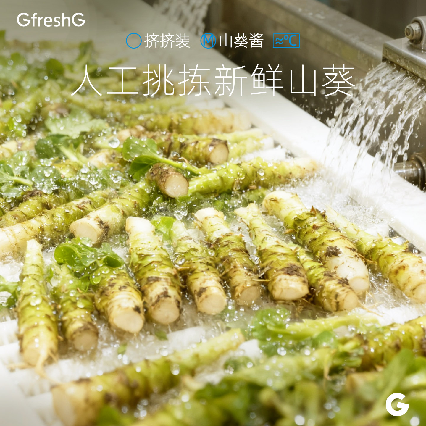 山葵酱150g寿司刺身三文鱼芥末海鲜烤肉辣根酱调味酱料粗磨山葵酱 - 图2