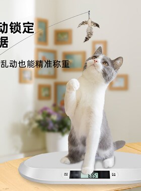 家用精准宠物秤 智能宠物健康管理秤 宠物电子秤40斤大承重