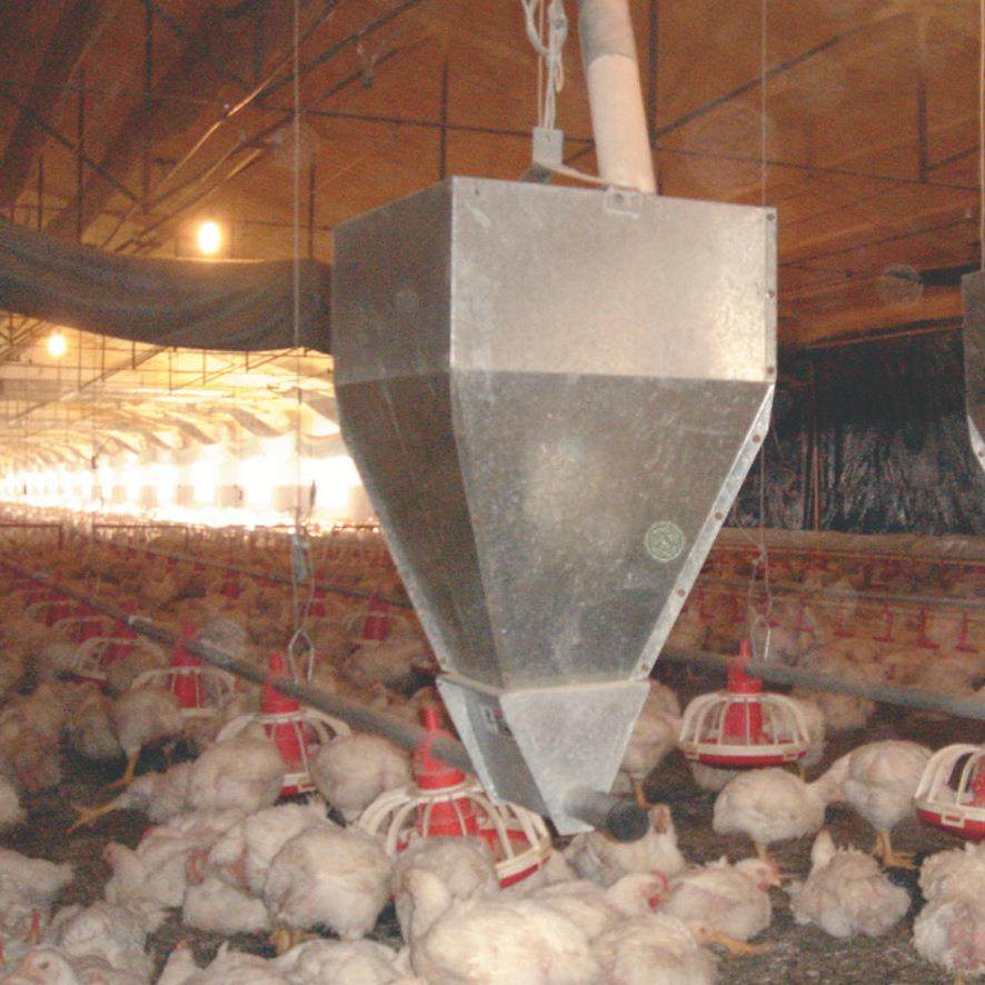 养鸡设备种鸡料线鸡用料线肉鸡料线种鸡桶式计量同步喂料厂家直供,淘宝优惠券,粉丝福利购,淘宝优惠卷
