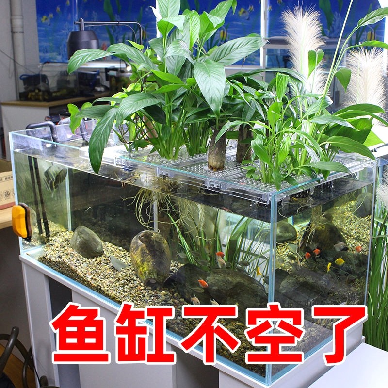 鱼缸水培植物篮家用水草种植杯壁清仓挺水植物定植篮鱼缸篮子水草,淘宝优惠券,粉丝福利购,淘宝优惠卷