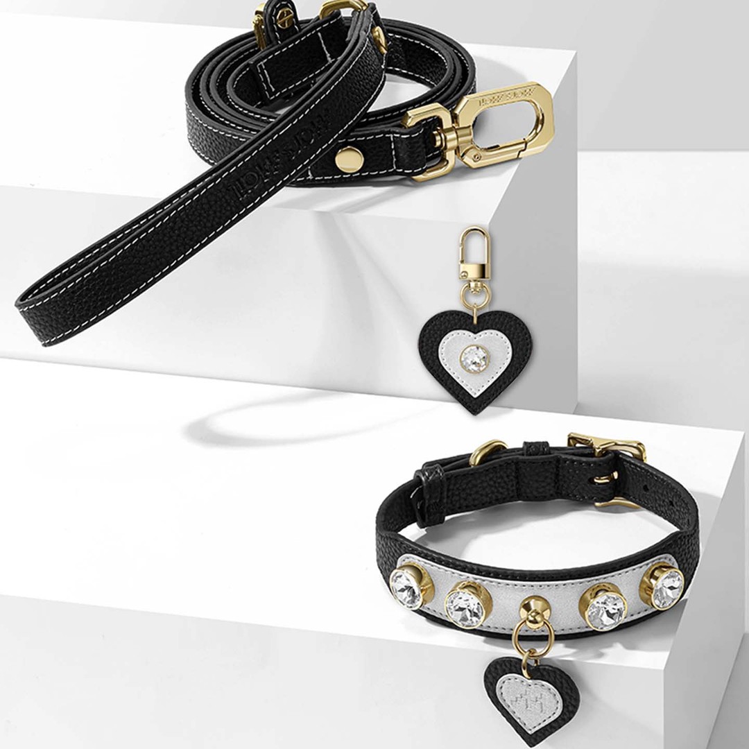 Call from Mars MarsMail pet collar traction rope large, medium and small dog walking rope cat neck collar necklace