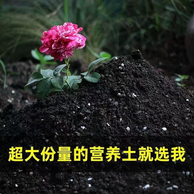多肉专用土多肉专用营养土养花通用型室内种植土绿植酸性土壤肥料,淘宝优惠券,粉丝福利购,淘宝优惠卷