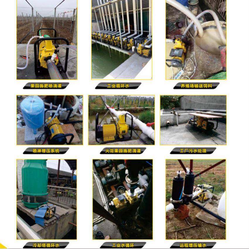 大流量自吸泵水泵喷灌离心泵DSU123456寸农用电泵高扬程高压灌溉 - 图2