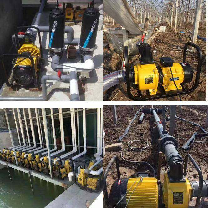 大流量自吸泵水泵喷灌离心泵DSU123456寸农用电泵高扬程高压灌溉 - 图1