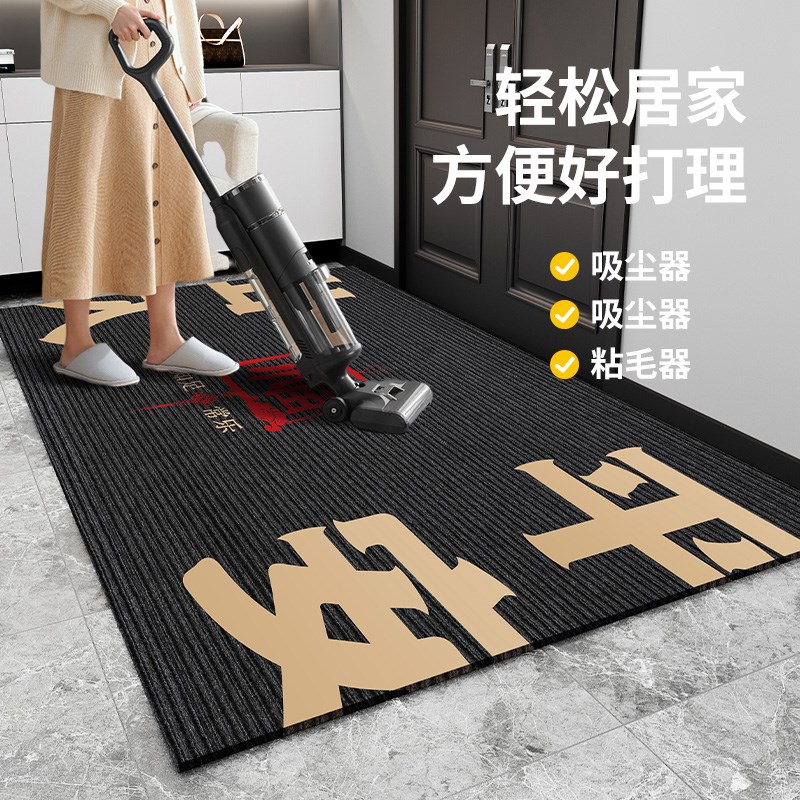 地垫入户门垫进门门口门外脚垫地毯门厅高级入户门2024新款脚踏垫 - 图2