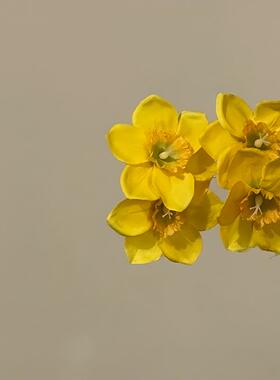 「春春欲动」」明媚黄色发夹