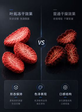 上海叶拓 YTLG系列 硅油加热真空冷冻干燥机压盖原位中试冻干机