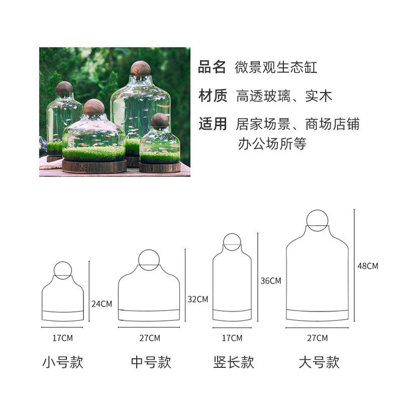 生态瓶微景观玻璃生态鱼缸diy材料小鱼生态瓶水草瓶水草种子景观,淘宝优惠券,粉丝福利购,淘宝优惠卷