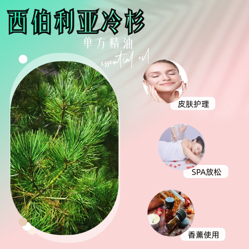 纯植物精油西伯利亚冷杉精油30ml白冷杉精油单方按摩香薰舒缓肌肤