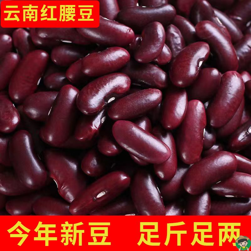 新货大红豆云南红腰豆商用五谷杂粮新鲜农家红芸豆散装批发量价优 - 图1
