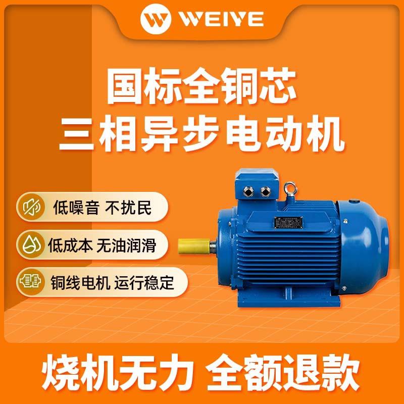 YE3全铜三相异步卧式电机立卧式铁壳电动机2级4级0.75KW1.1kW2.2k - 图0