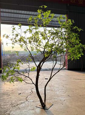 仿真马醉木树假绿植茶室书店商场办公楼装饰布景摆件假马醉木树