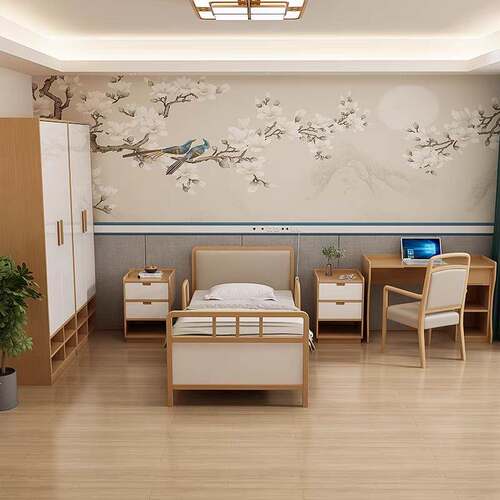 养老院适老化敬老院单人护理床手动双摇床福利院定制现代康养家具 - 图2