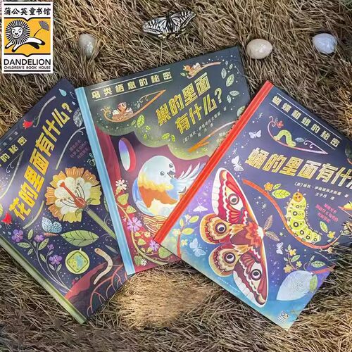 花园里的秘密花蛹巢的里面有什么 新书精装硬壳儿童绘本图画书3-6岁幼儿园小中大班儿童早教宝宝睡前故事绘本观察力认知力训练书 - 图2
