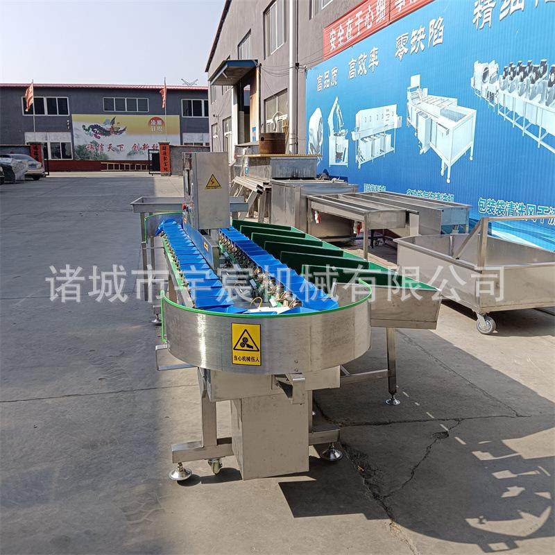 海鲜生蚝料盒式重量分选机黄花鱼鲳鱼全自动分拣机牛油果选果机器,淘宝优惠券,粉丝福利购,淘宝优惠卷