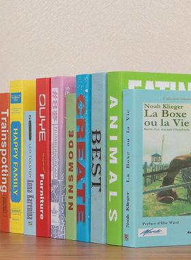 亮彩色假书仿真书摆件展厅样板房道具书模餐厅网咖装饰品摆设书壳