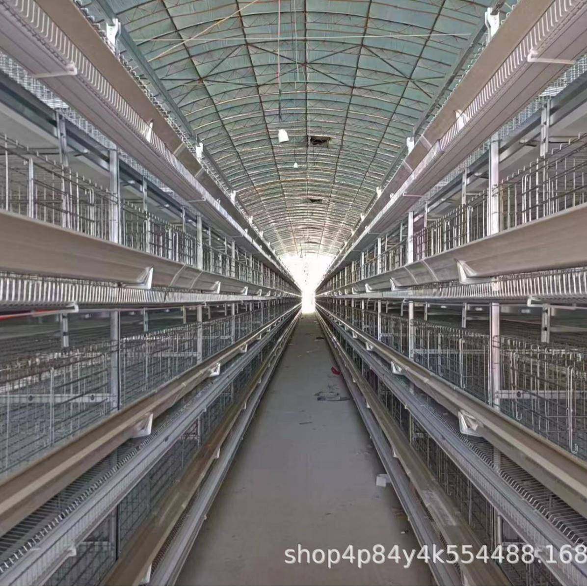 小层叠蛋鸡笼热镀锌全自动立体阶梯式蛋鸡笼自动化捡蛋机养殖设备,淘宝优惠券,粉丝福利购,淘宝优惠卷