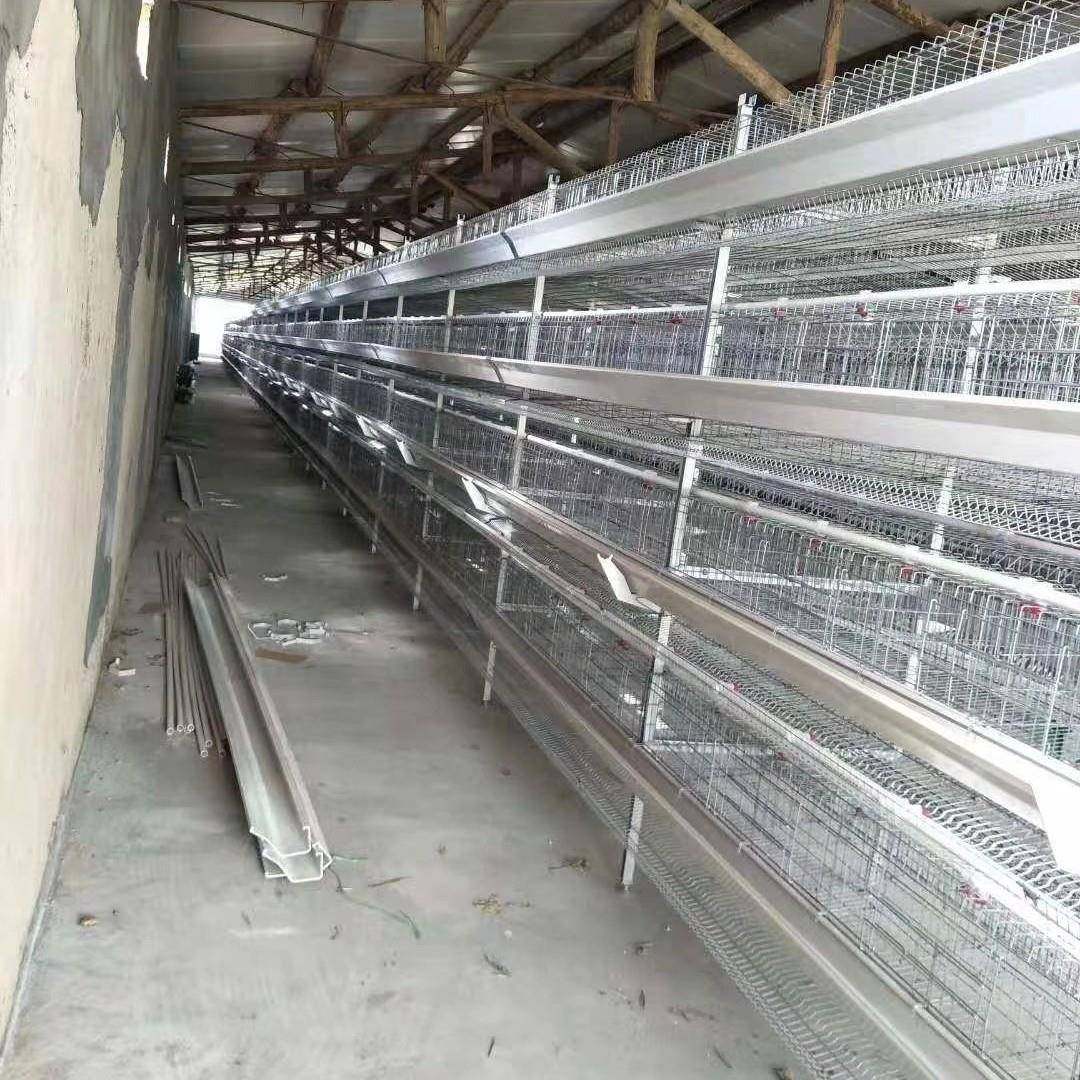 小层叠蛋鸡笼热镀锌全自动立体阶梯式蛋鸡笼自动化捡蛋机养殖设备,淘宝优惠券,粉丝福利购,淘宝优惠卷