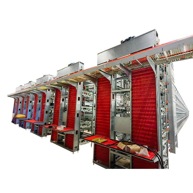 大层叠蛋鸡设备养殖笼养鸡全自动化鸡笼安装热镀锌肉鸡笼推荐,淘宝优惠券,粉丝福利购,淘宝优惠卷