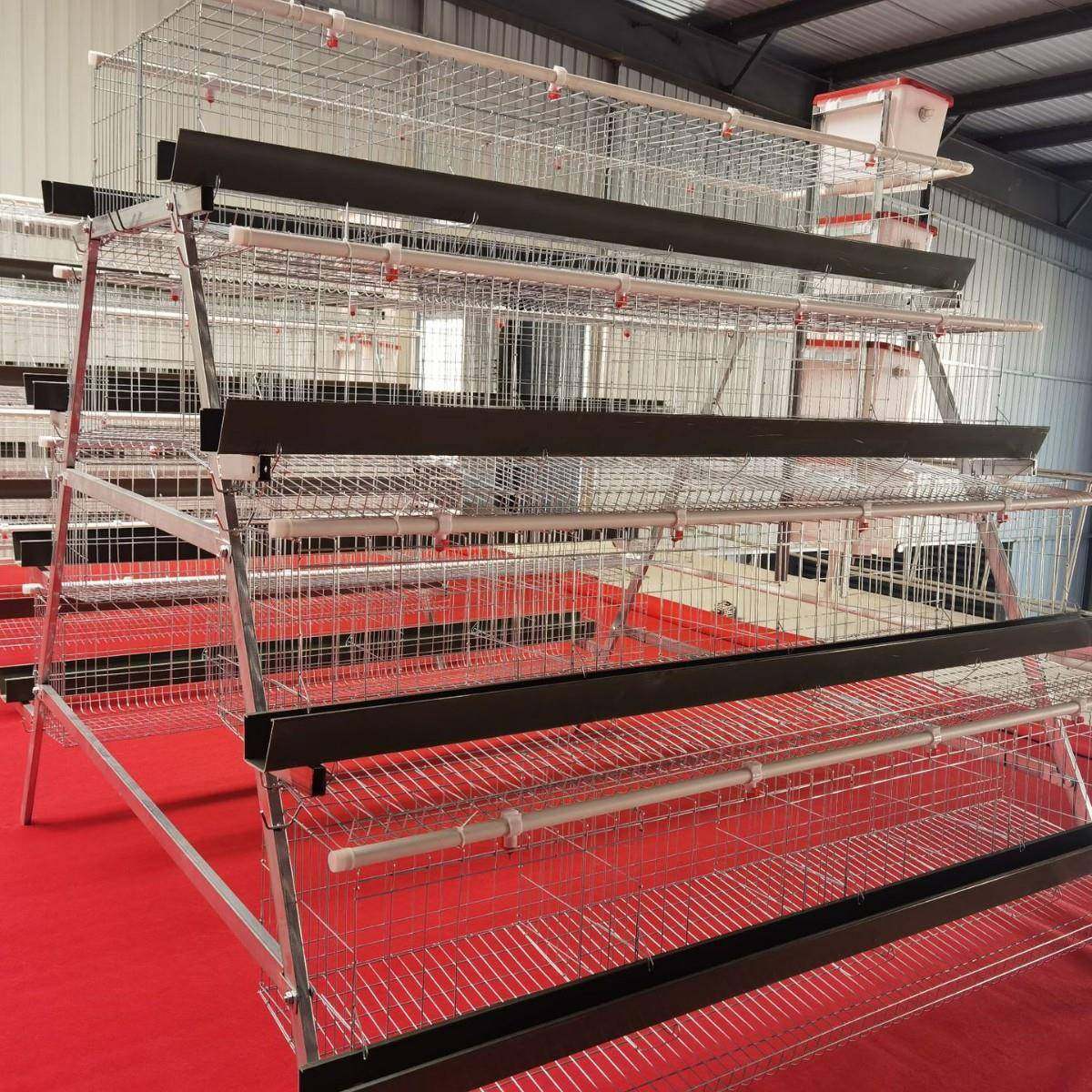 A型阶梯蛋鸡笼四层四门阶梯蛋鸡笼冷镀锌鸡舍家用养殖场源头厂家,淘宝优惠券,粉丝福利购,淘宝优惠卷