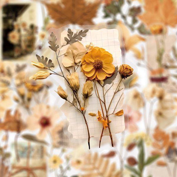 【大图释官方授权】100张复古干枯花朵树叶植物贴纸ins风氛围感素材小众手账装饰标签防水不干胶素材贴画文艺,淘宝优惠券,粉丝福利购,淘宝优惠卷